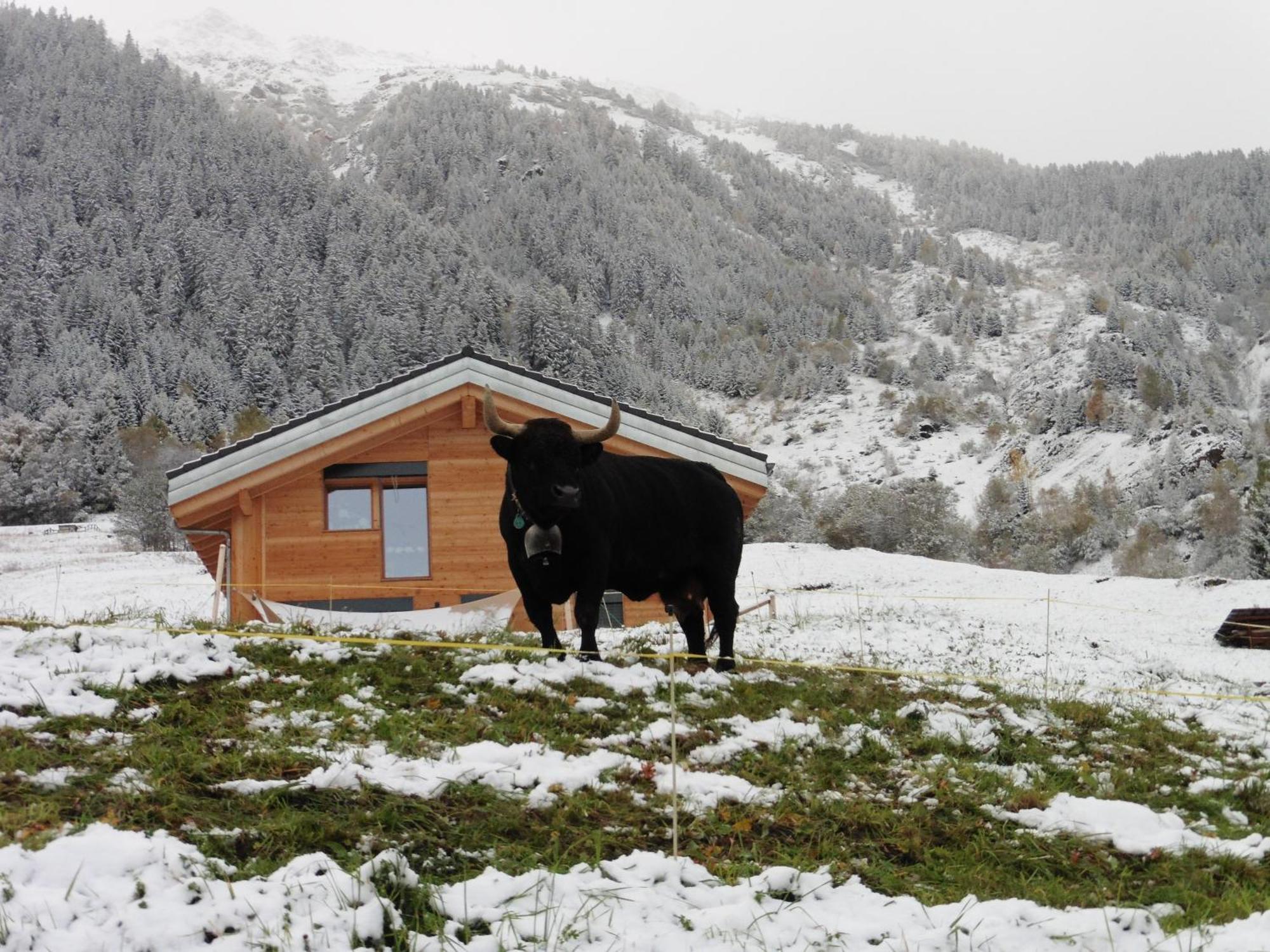 La Cle Des Champs Bed & Breakfast Heremence Exterior photo
